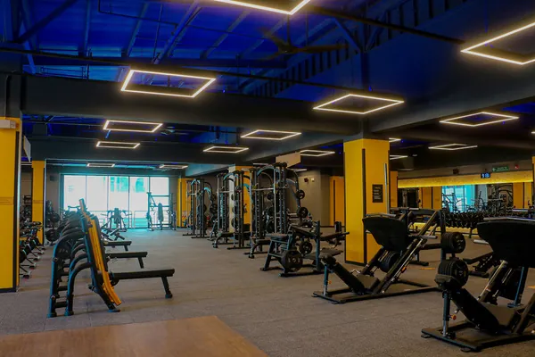 Zonas de cardio y musculación